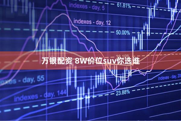 万银配资 8W价位suv你选谁