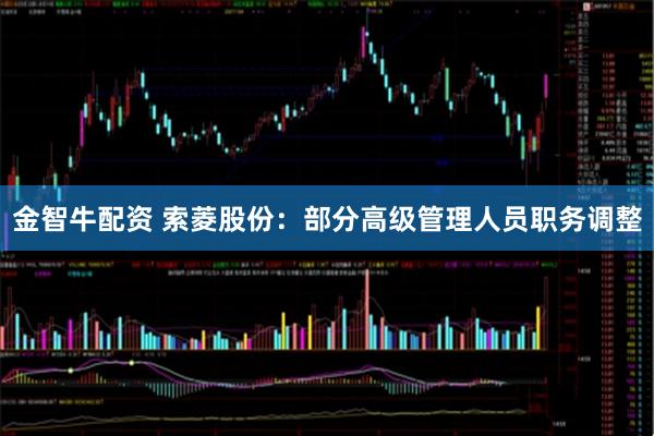 金智牛配资 索菱股份：部分高级管理人员职务调整