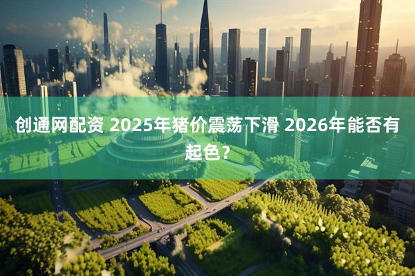 创通网配资 2025年猪价震荡下滑 2026年能否有起色？
